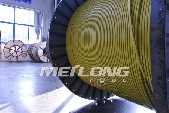 Dây chuyền điều khiển ống mao dẫn Ss đóng gói PVDF cho giếng dầu khí