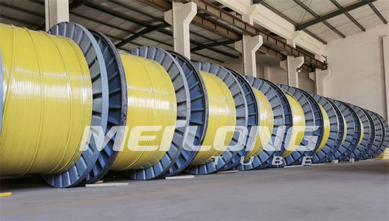 UNS S32750 Dây điều khiển đóng gói Super Duplex 2507 Rilsan Nylon