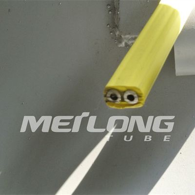 TP316L PVDF Dây chuyền điều khiển đóng gói Flatpack với hai ống áp suất cao